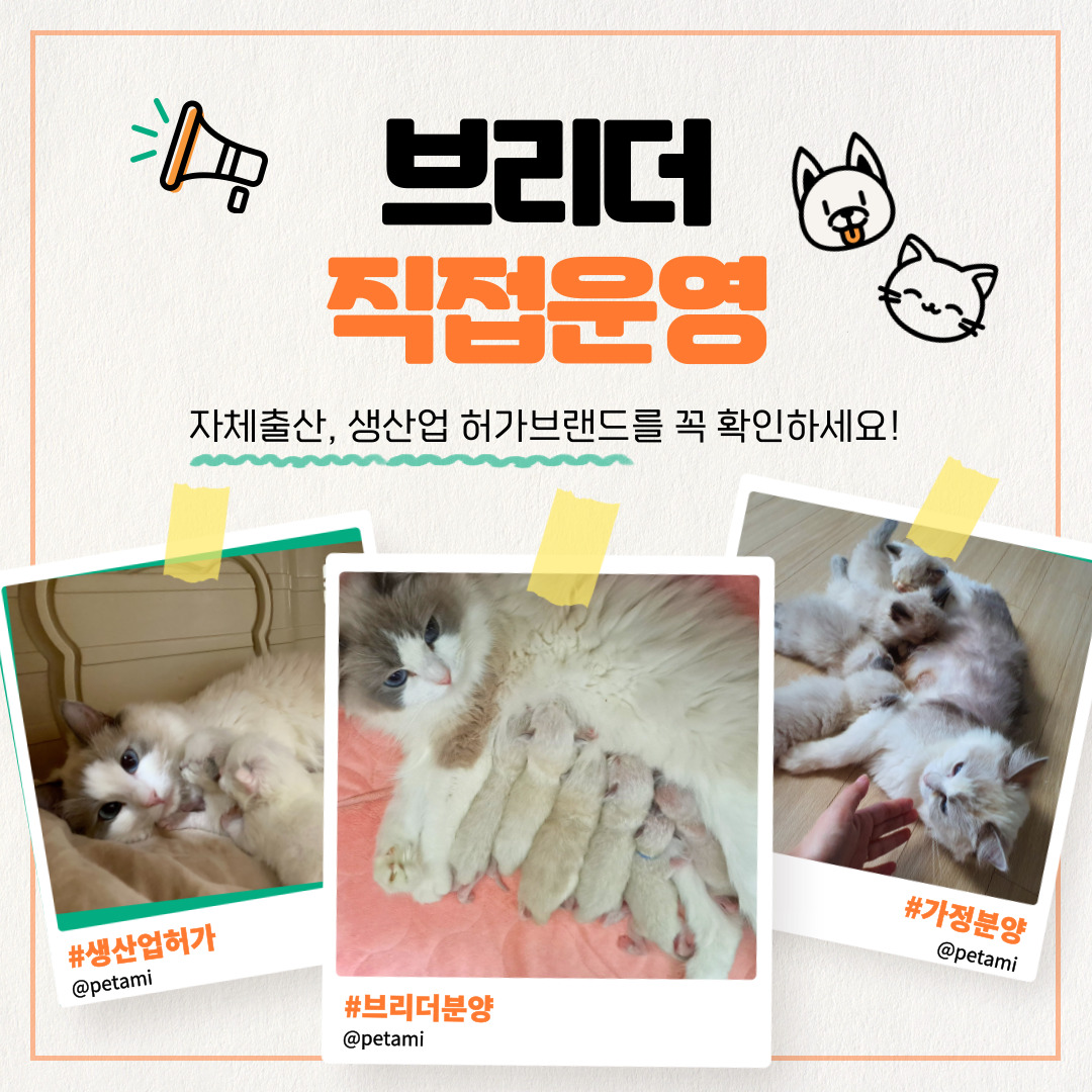 펫아미 상단 배너